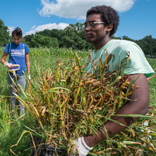 jeremy sanford holds harvested crops at a farm in wisconsin. 