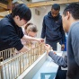 students work around a model of an affordable housing prototype. 