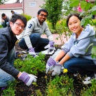 Students gardening as part of a community outreach event. 