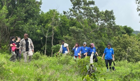 A group of students in the Costa Rica/Sustainable Futures program explore the tropical forests of Costa Rica as part of the program's serice-learning focus. 