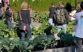 Site visit to Buffalo Go Green urban farm. 