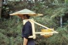 "Hat Roof," Allan Wexler