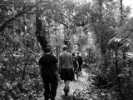 Students walking through the Cloud Forest.