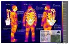 Thermal analysis: Interheater.