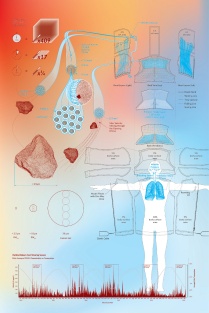 Zoom image: Zherui Wang 