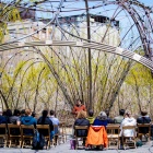 Trellis at Silo City. 