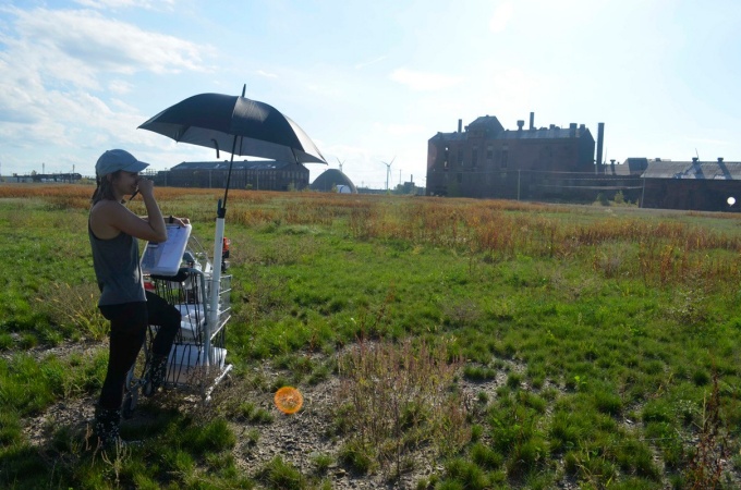 Interlocking grid of cross shaped wood panels. 