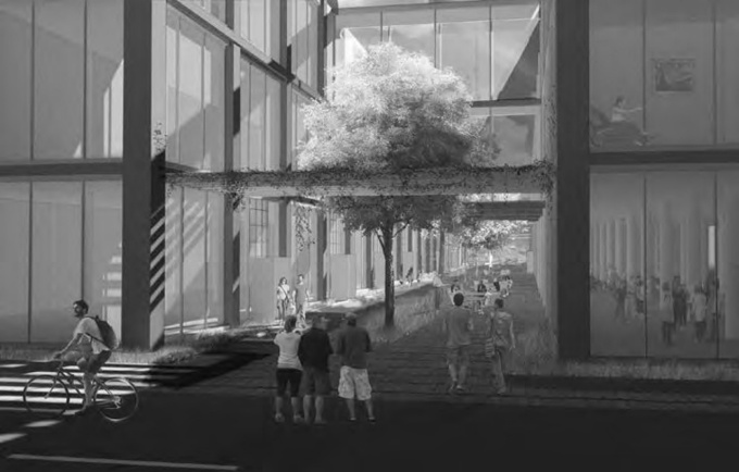 large tree in a glassy courtyard. 